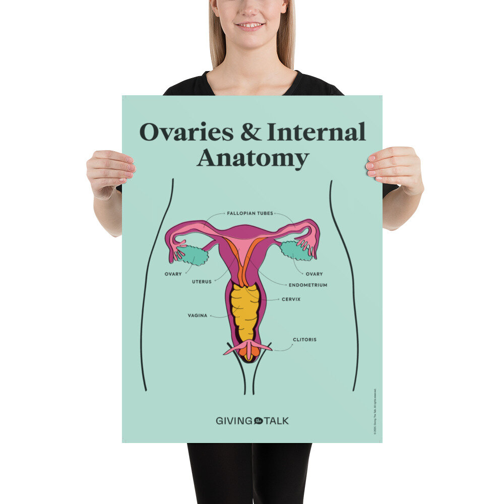 ovaries and internal anatomy poster